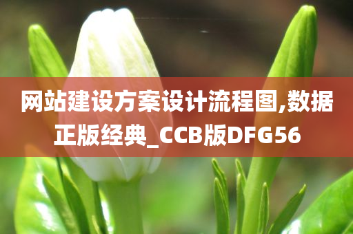 网站建设方案设计流程图,数据正版经典_CCB版DFG56