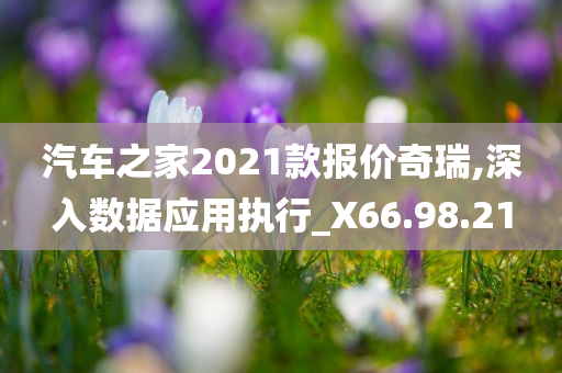 汽车之家2021款报价奇瑞,深入数据应用执行_X66.98.21