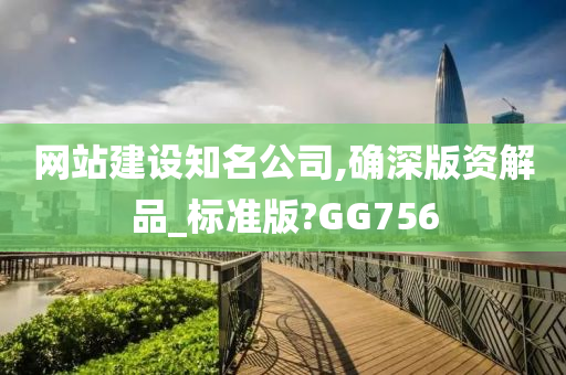 网站建设知名公司,确深版资解品_标准版?GG756