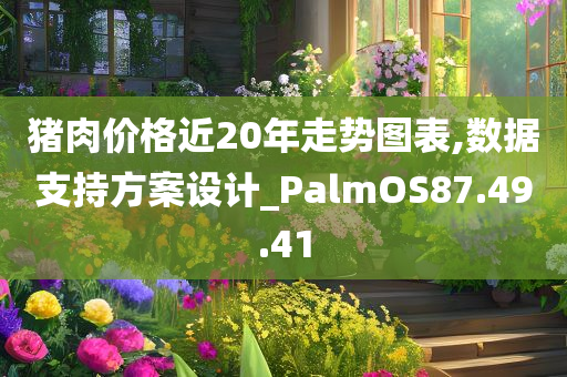 猪肉价格近20年走势图表,数据支持方案设计_PalmOS87.49.41