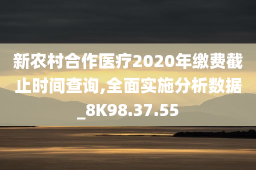 新农村合作医疗2020年缴费截止时间查询,全面实施分析数据_8K98.37.55