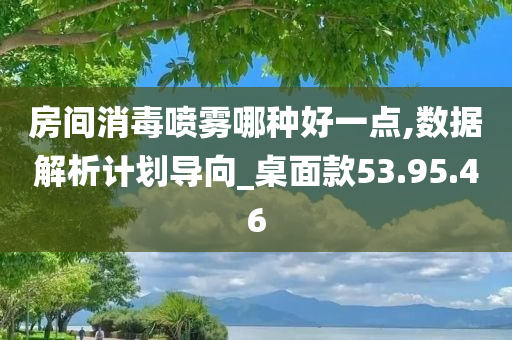 房间消毒喷雾哪种好一点,数据解析计划导向_桌面款53.95.46