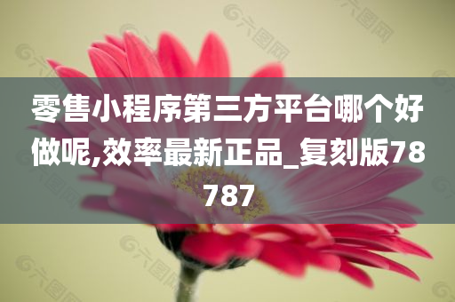 零售小程序第三方平台哪个好做呢,效率最新正品_复刻版78787