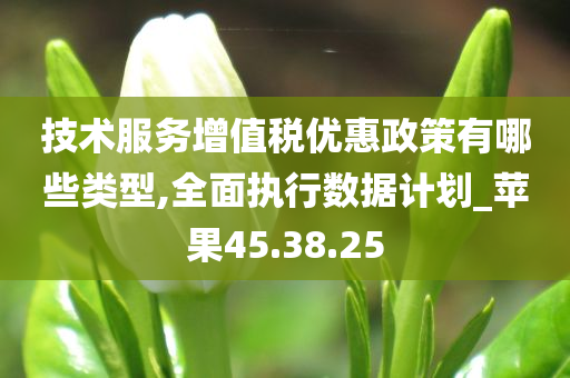 技术服务增值税优惠政策有哪些类型,全面执行数据计划_苹果45.38.25