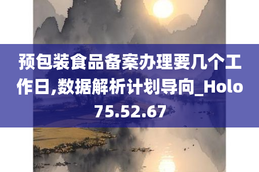 预包装食品备案办理要几个工作日,数据解析计划导向_Holo75.52.67