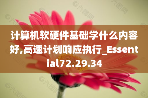 计算机软硬件基础学什么内容好,高速计划响应执行_Essential72.29.34