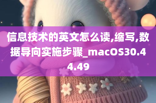 信息技术的英文怎么读,缩写,数据导向实施步骤_macOS30.44.49