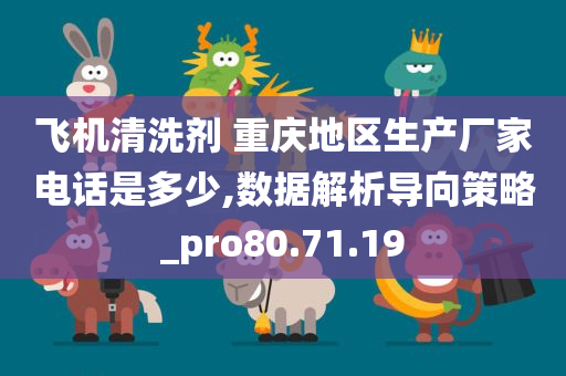 飞机清洗剂 重庆地区生产厂家电话是多少,数据解析导向策略_pro80.71.19