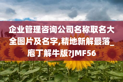 企业管理咨询公司名称取名大全图片及名字,精地新解最落_庖丁解牛版?JMF56