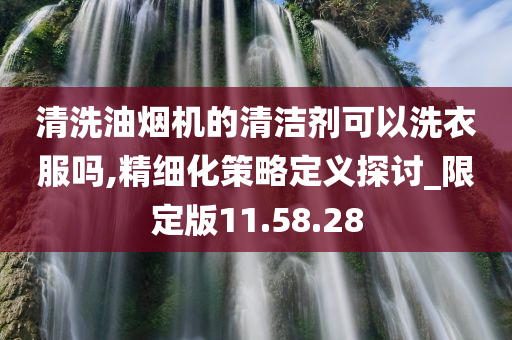 清洗油烟机的清洁剂可以洗衣服吗,精细化策略定义探讨_限定版11.58.28