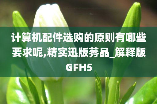 计算机配件选购的原则有哪些要求呢,精实迅版莠品_解释版GFH5