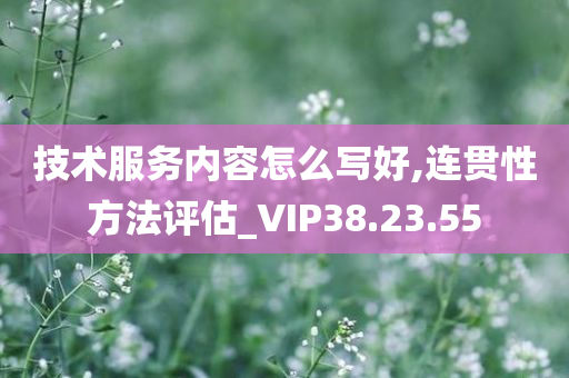 技术服务内容怎么写好,连贯性方法评估_VIP38.23.55