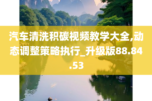 汽车清洗积碳视频教学大全,动态调整策略执行_升级版88.84.53