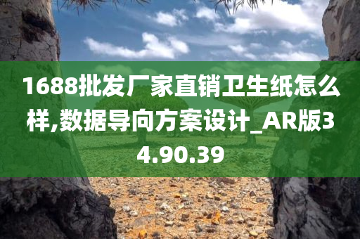 1688批发厂家直销卫生纸怎么样,数据导向方案设计_AR版34.90.39