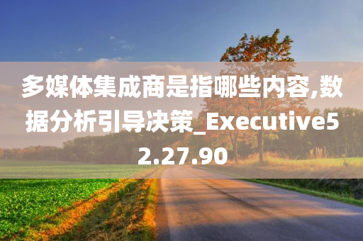 多媒体集成商是指哪些内容,数据分析引导决策_Executive52.27.90