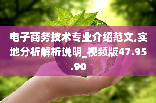 电子商务技术专业介绍范文,实地分析解析说明_视频版47.95.90