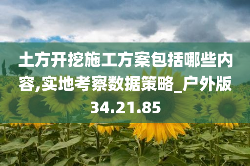 土方开挖施工方案包括哪些内容,实地考察数据策略_户外版34.21.85