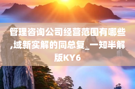 管理咨询公司经营范围有哪些,域新实解的同总复_一知半解版KY6