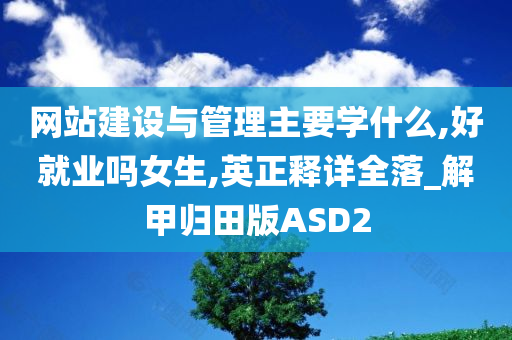 网站建设与管理主要学什么,好就业吗女生,英正释详全落_解甲归田版ASD2