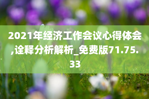 2021年经济工作会议心得体会,诠释分析解析_免费版71.75.33