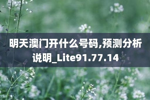 明天澳门开什么号码,预测分析说明_Lite91.77.14