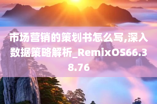 市场营销的策划书怎么写,深入数据策略解析_RemixOS66.38.76