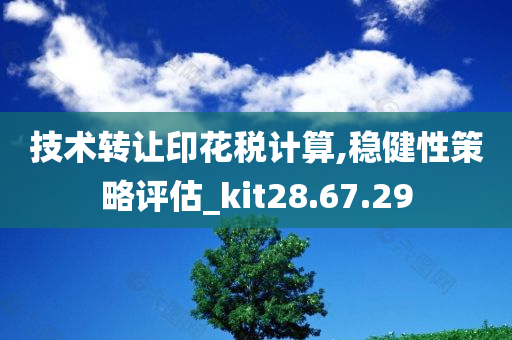 技术转让印花税计算,稳健性策略评估_kit28.67.29