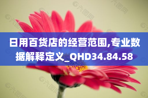 日用百货店的经营范围,专业数据解释定义_QHD34.84.58