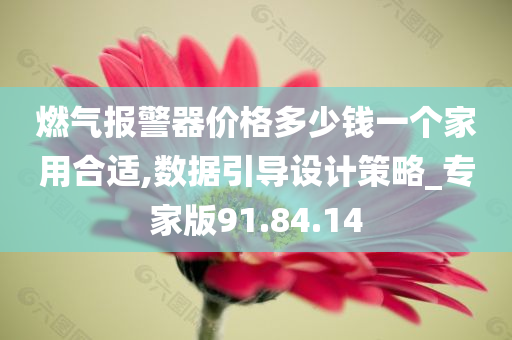 燃气报警器价格多少钱一个家用合适,数据引导设计策略_专家版91.84.14