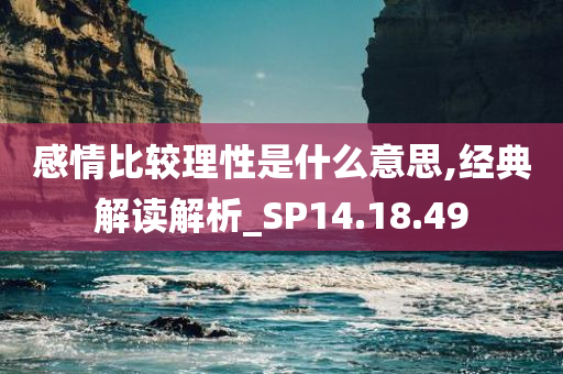 感情比较理性是什么意思,经典解读解析_SP14.18.49