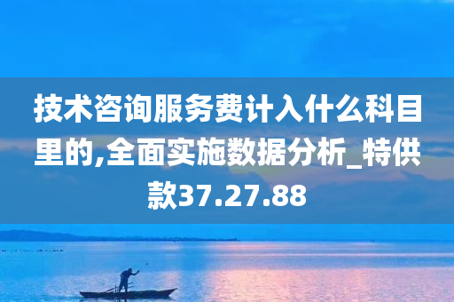 技术咨询服务费计入什么科目里的,全面实施数据分析_特供款37.27.88