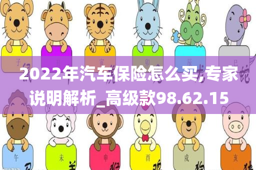 2022年汽车保险怎么买,专家说明解析_高级款98.62.15