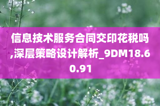 信息技术服务合同交印花税吗,深层策略设计解析_9DM18.60.91