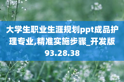 大学生职业生涯规划ppt成品护理专业,精准实施步骤_开发版93.28.38