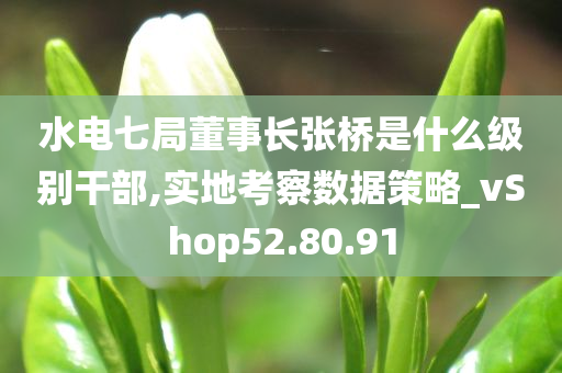 水电七局董事长张桥是什么级别干部,实地考察数据策略_vShop52.80.91