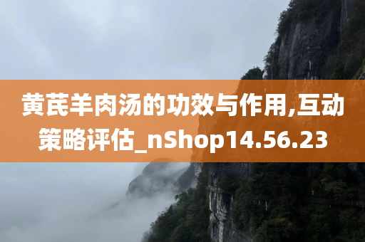 黄芪羊肉汤的功效与作用,互动策略评估_nShop14.56.23