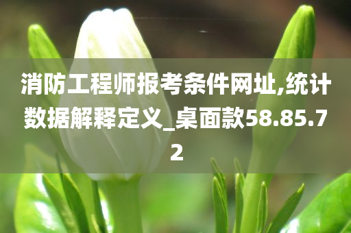 消防工程师报考条件网址,统计数据解释定义_桌面款58.85.72