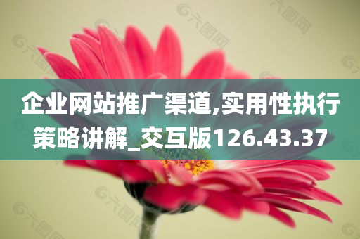 企业网站推广渠道,实用性执行策略讲解_交互版126.43.37