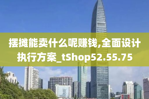 摆摊能卖什么呢赚钱,全面设计执行方案_tShop52.55.75