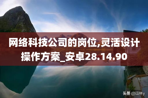 网络科技公司的岗位,灵活设计操作方案_安卓28.14.90