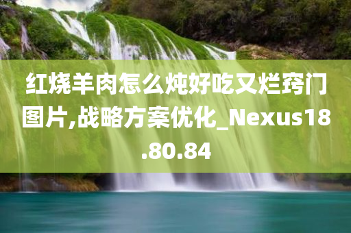 红烧羊肉怎么炖好吃又烂窍门图片,战略方案优化_Nexus18.80.84