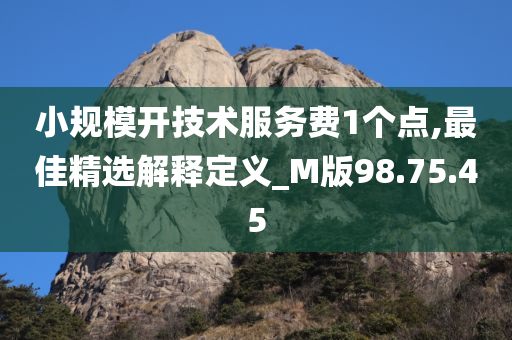 小规模开技术服务费1个点,最佳精选解释定义_M版98.75.45