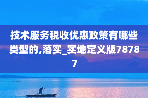 技术服务税收优惠政策有哪些类型的,落实_实地定义版78787