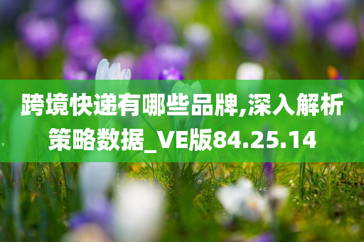 跨境快递有哪些品牌,深入解析策略数据_VE版84.25.14