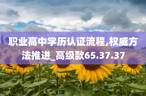 职业高中学历认证流程,权威方法推进_高级款65.37.37