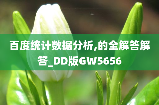 百度统计数据分析,的全解答解答_DD版GW5656