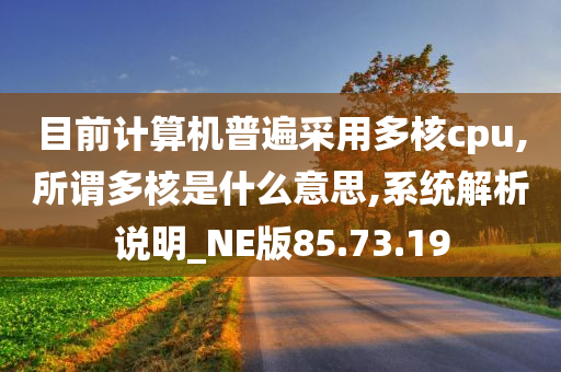 目前计算机普遍采用多核cpu,所谓多核是什么意思,系统解析说明_NE版85.73.19