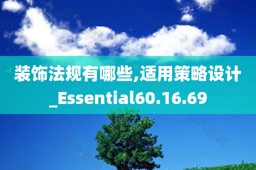 装饰法规有哪些,适用策略设计_Essential60.16.69