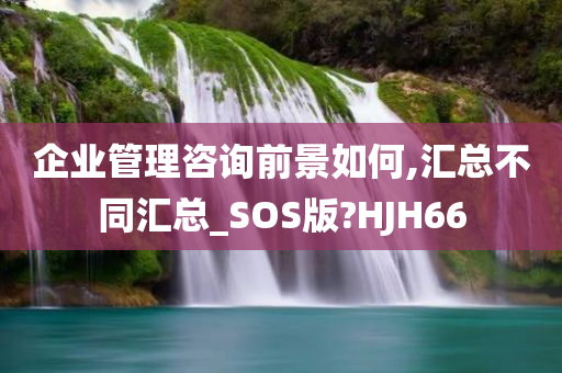 企业管理咨询前景如何,汇总不同汇总_SOS版?HJH66