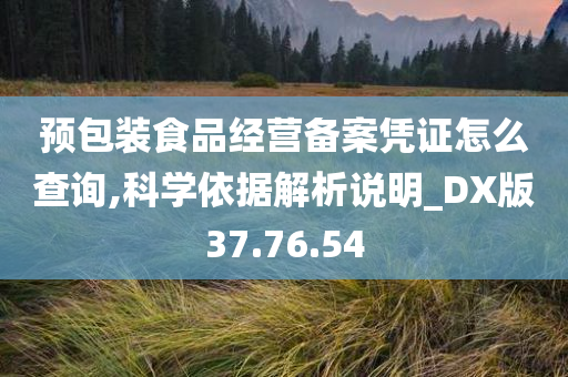 预包装食品经营备案凭证怎么查询,科学依据解析说明_DX版37.76.54